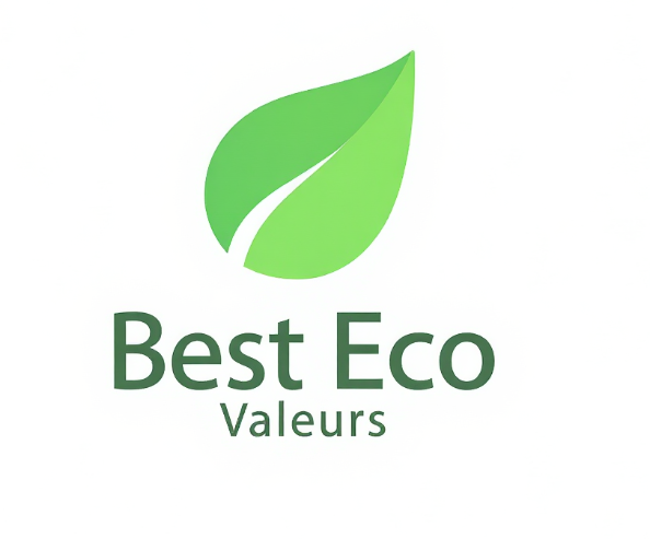Best Eco Valeurs Logo